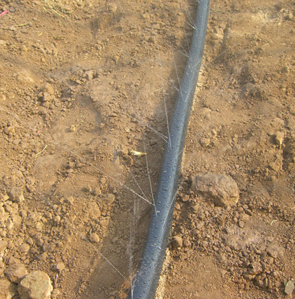farm irrigation systems Competitive Price Micro Spray Tape Spray Hose Rain hose