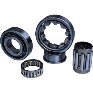 OTHER BEARINGS