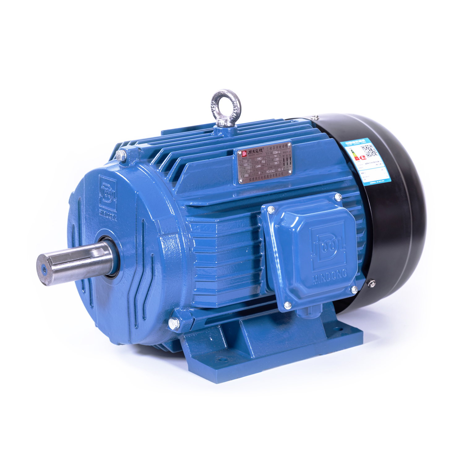 EM Series Three Phase Induction Motor IE2
