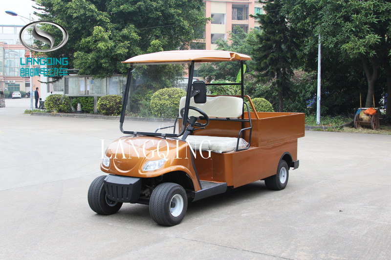 Electric Utility Car