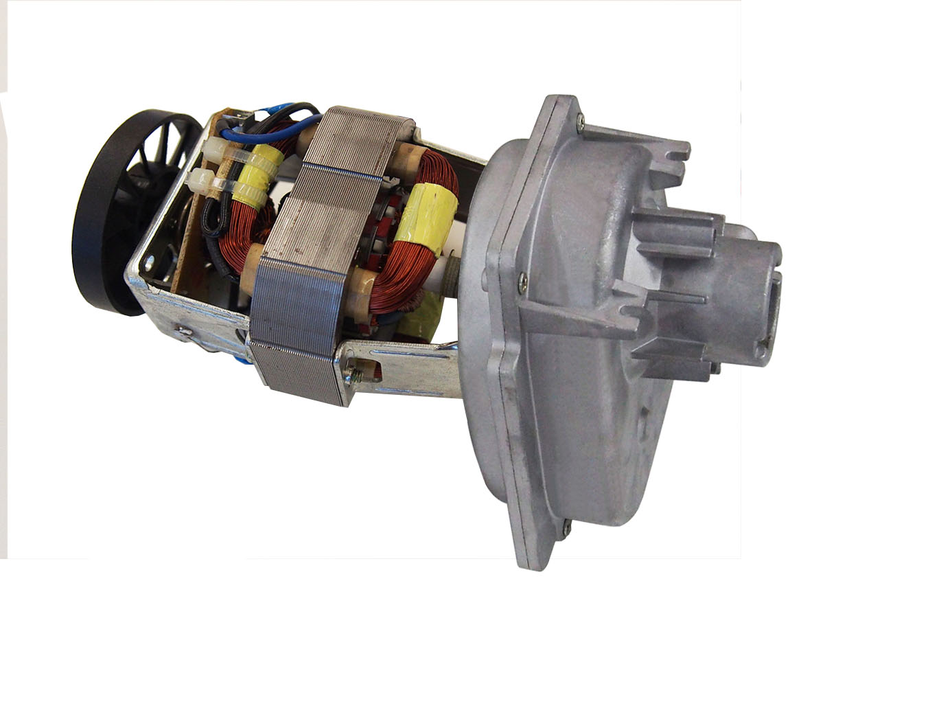 Meat mincer      Motor / Gearboxes