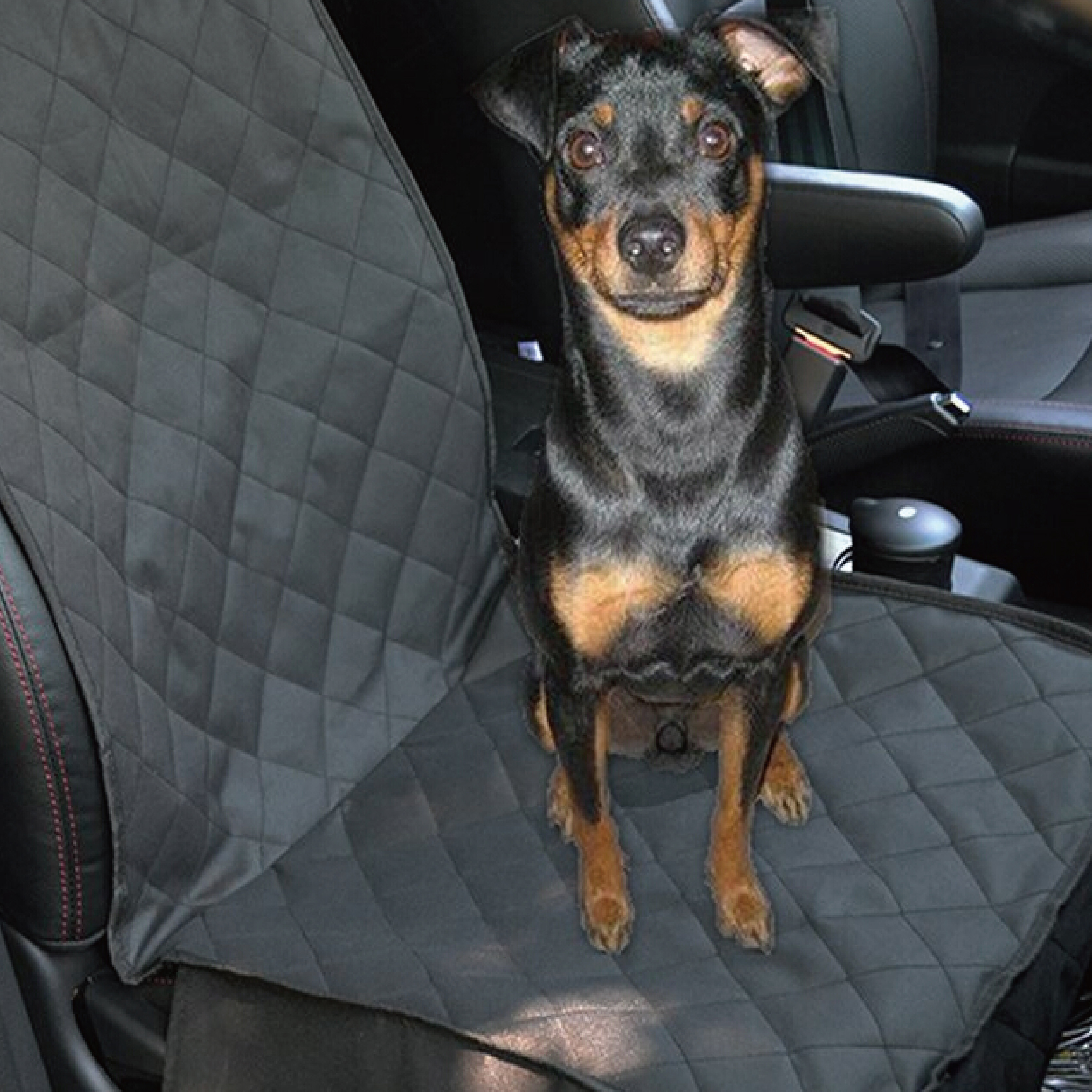 2 in 1 Deluxe Pet Car Seat Cover