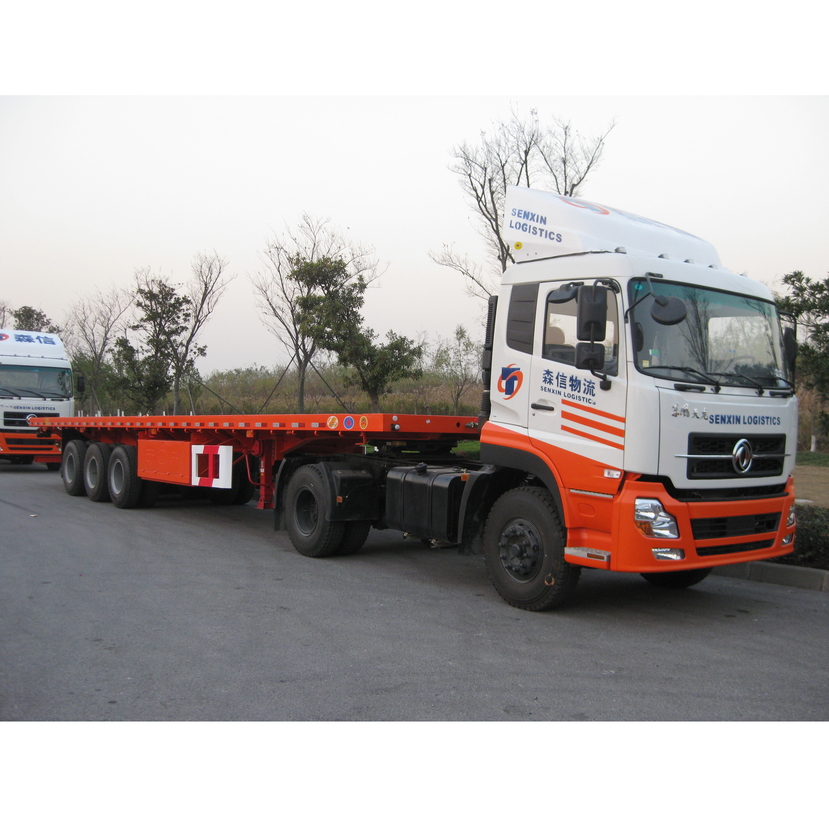 Three Axle 40ft Container Flatbed Semi Trailer