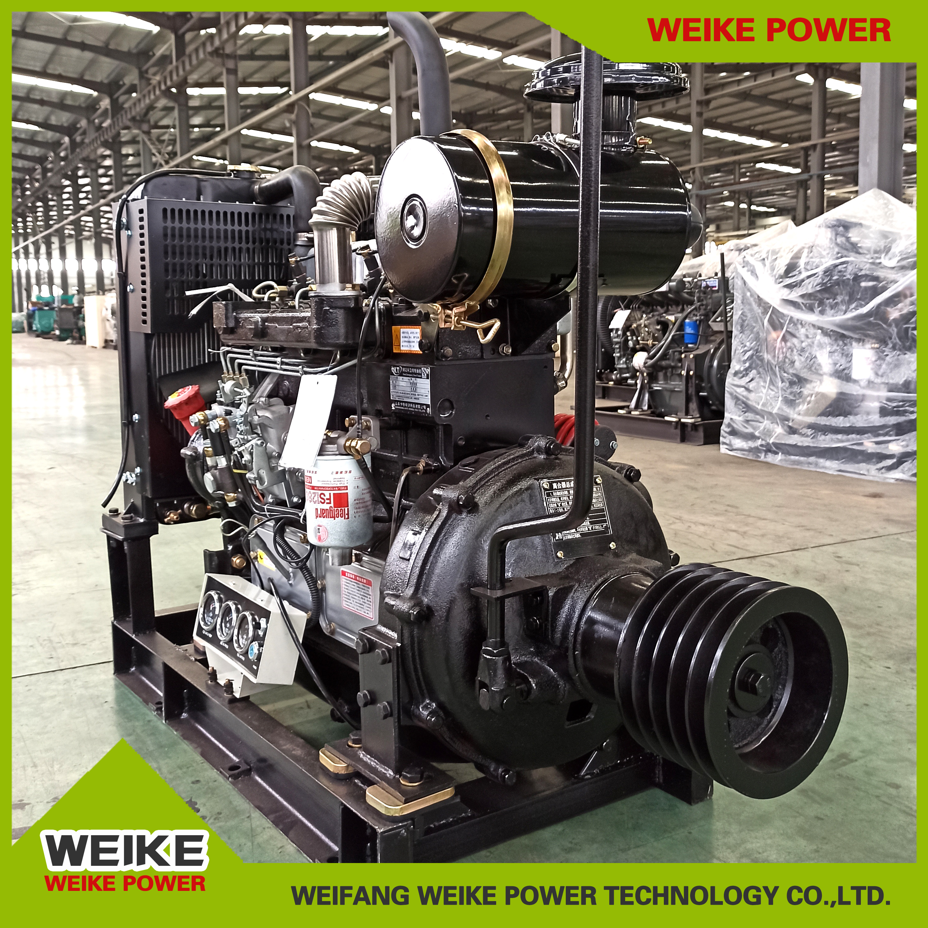 Diesel engine for fixed power