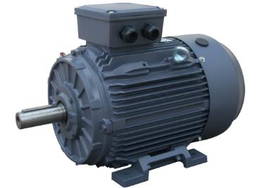 TC series induction motors( IE1 IE2 IE3 IE4 efficiency)-Cast iron