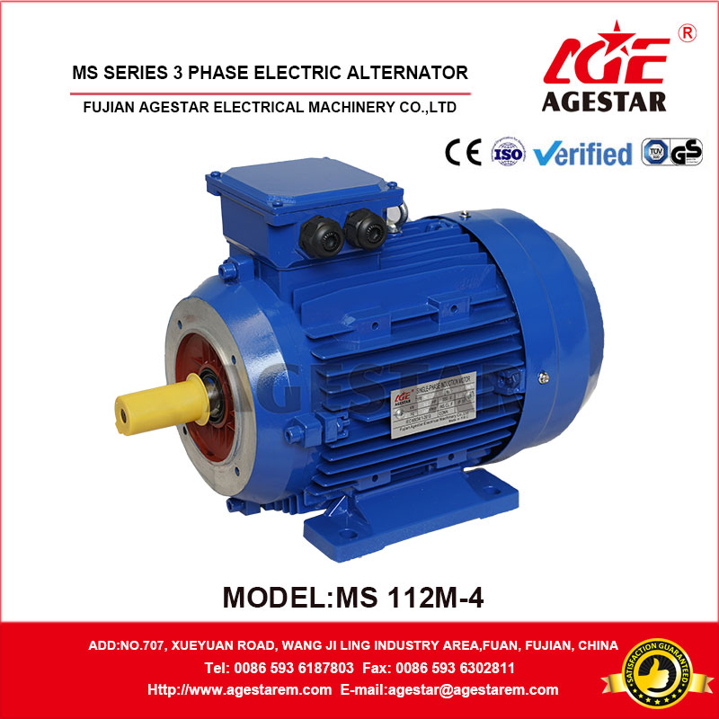 MS series three phase motor