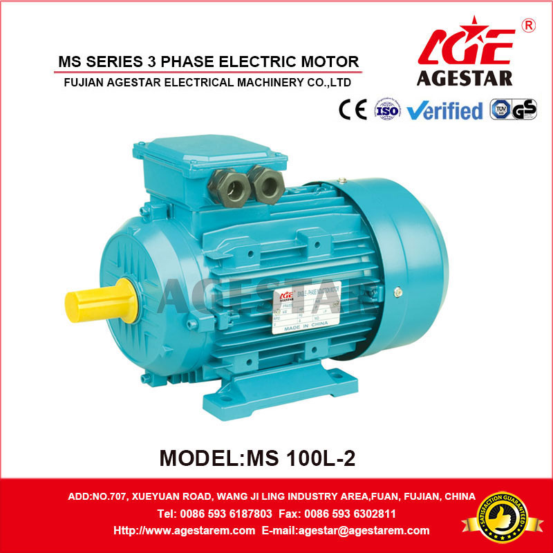 MS series three phase motor