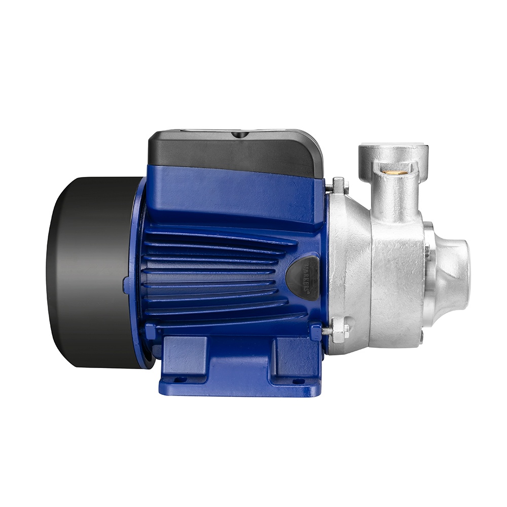 Vortex clean water pump italian price of 1hp water pumps