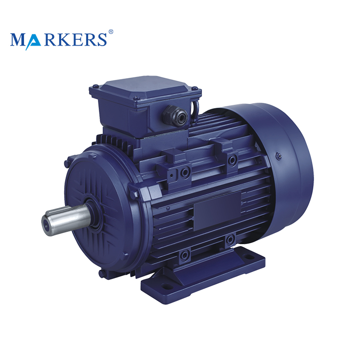 Y2 Series electric three-phase 3 phase electric asynchronous motor