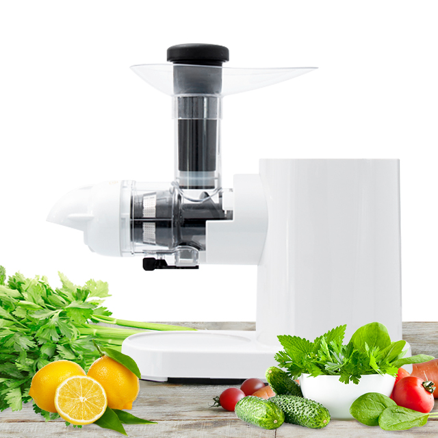 Horizontal slow juicer