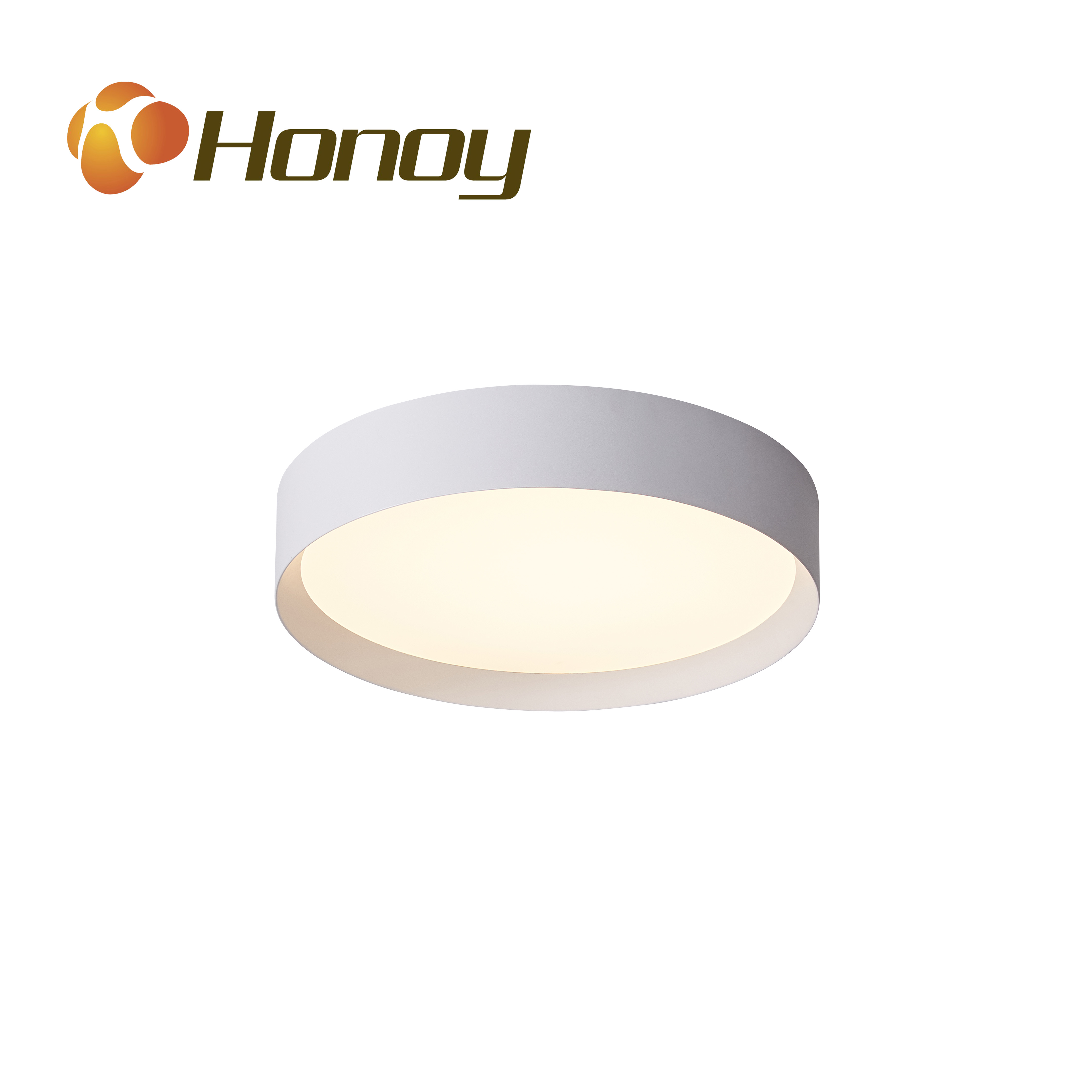 LED Smart Ceiling Lamp