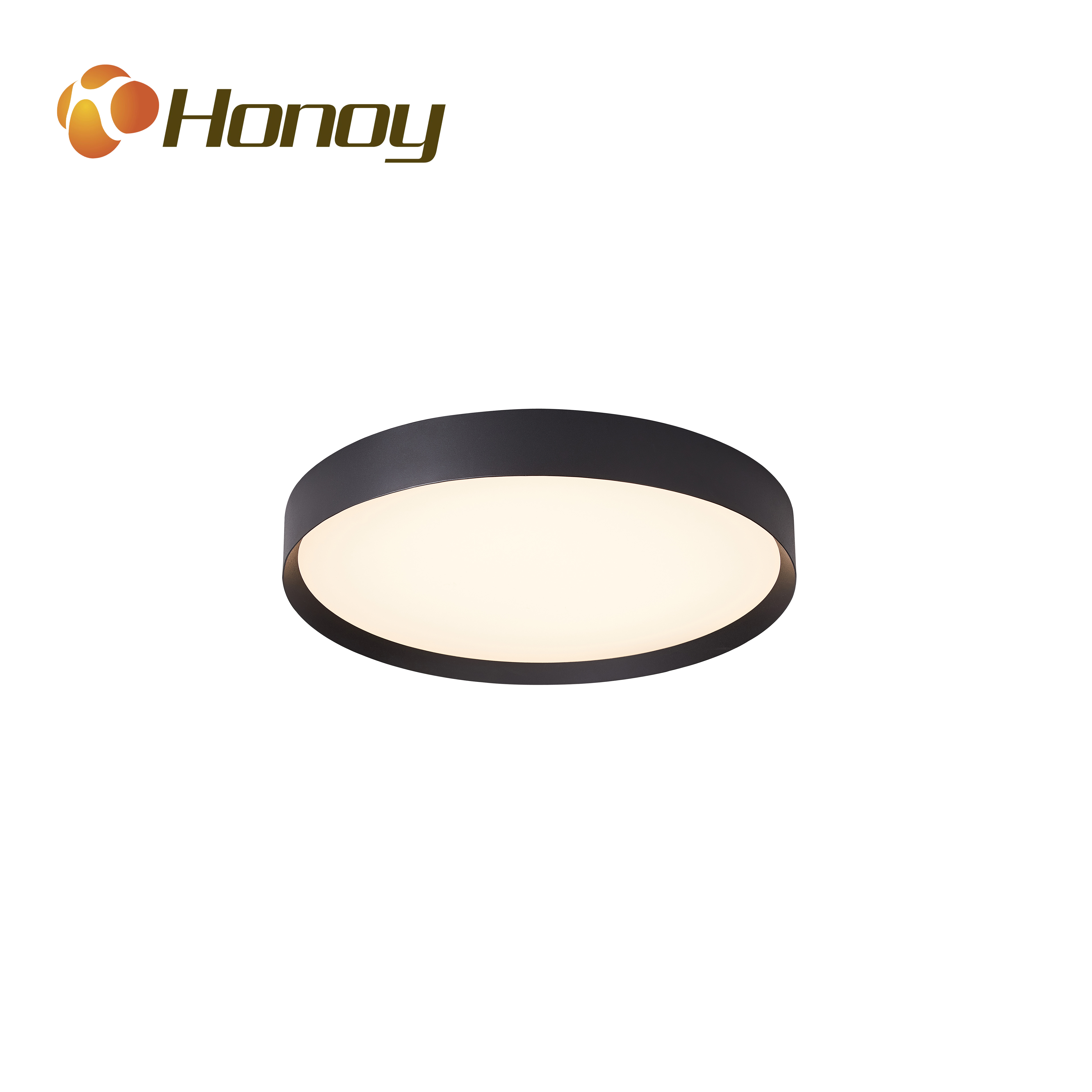 LED Smart Ceiling Lamp