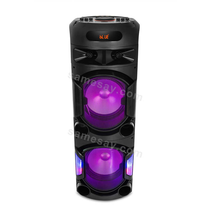 Dual 12 Inch High Power Party Speaker