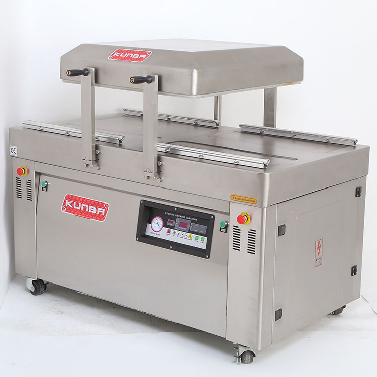 Vacuum Packing Machine DZ-600/2SA (Automatic Flip)