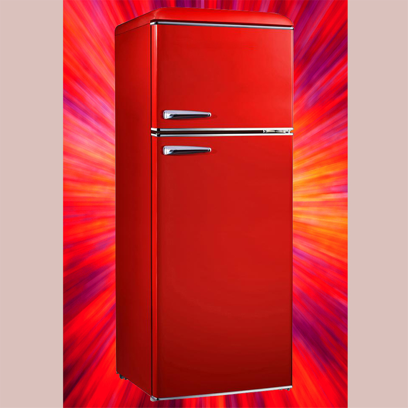 Single door refrigerator