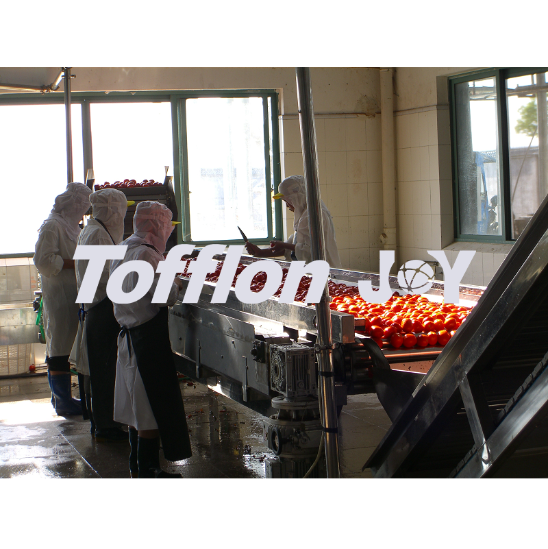 tomato processing line