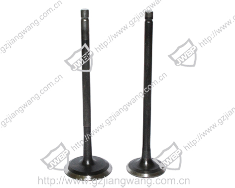 Intake and exhaust valve