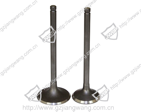 Intake and exhaust valve