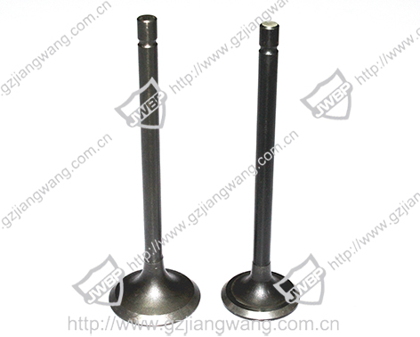 Intake and exhaust valve