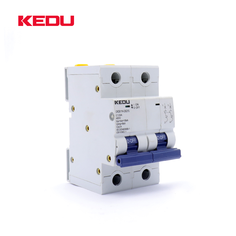 125A AC Circuit Breaker 2P 80A 100A 125A 10KA For domestic or industrial applications
