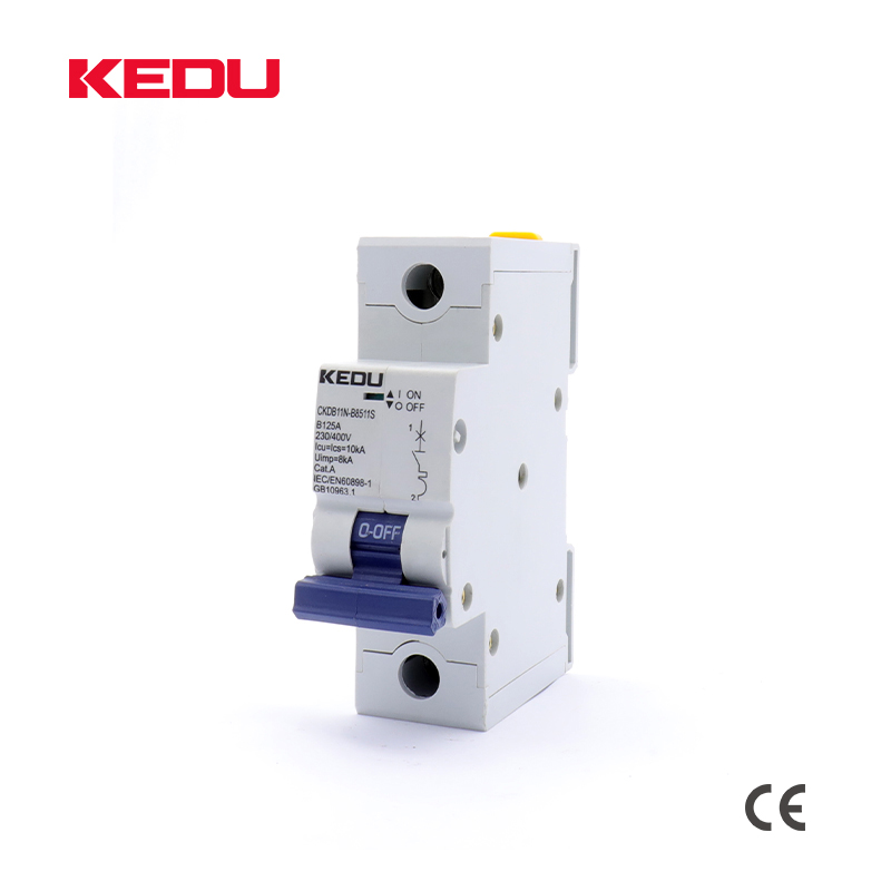 125A AC Circuit Breaker1P （80A 100A 125A）10KA For domestic or industrial applications