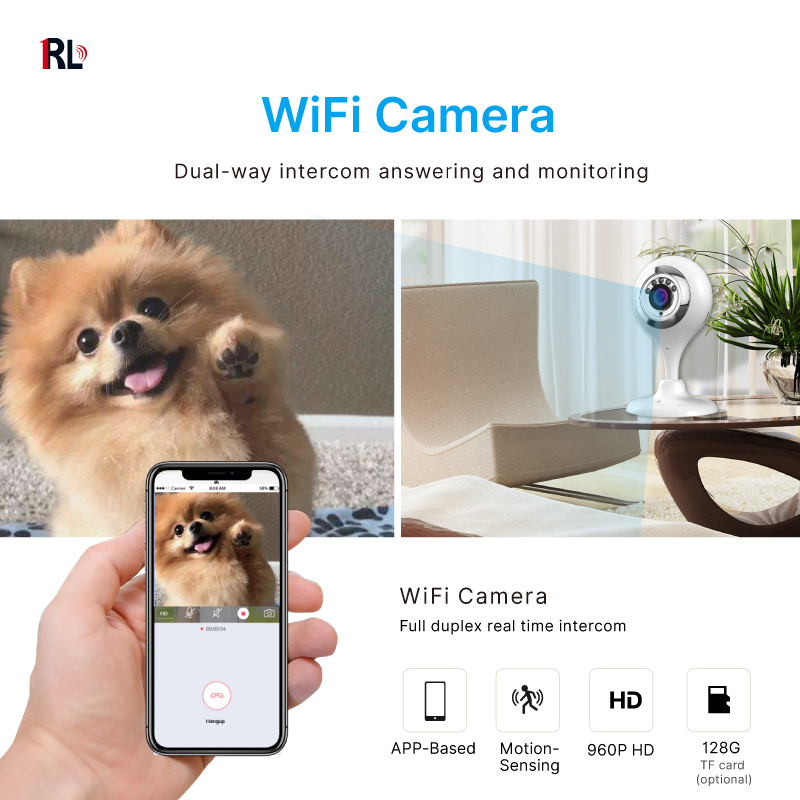 WIFI IP Camera WIth Alarm System