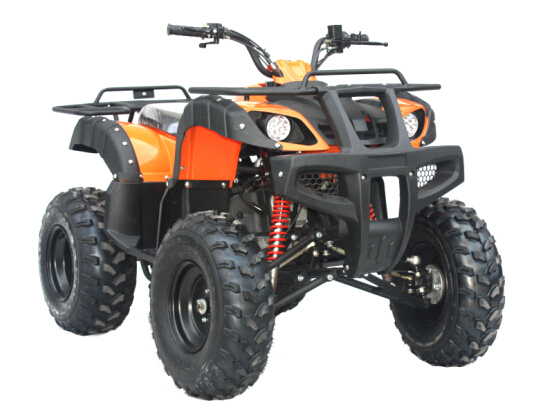 Gasoline Powered 4 Stroke Quad Bike ATV 200cc for adult