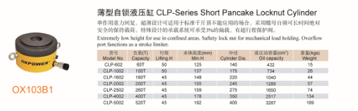 CLP-SERIES short pacake locnut cylinder