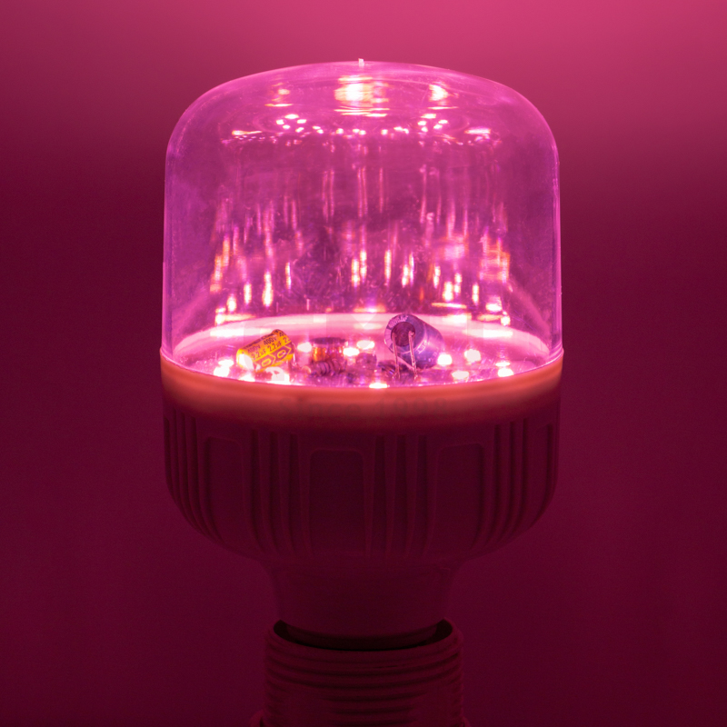 LED plant grow light T80 12W