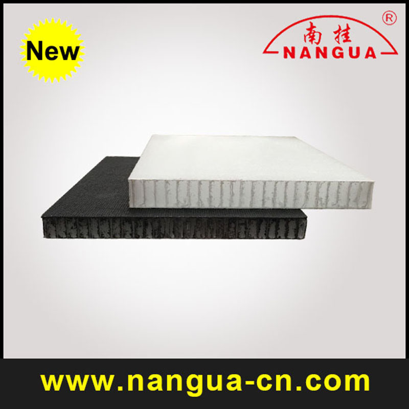 thermoplastic sandwich structure panel