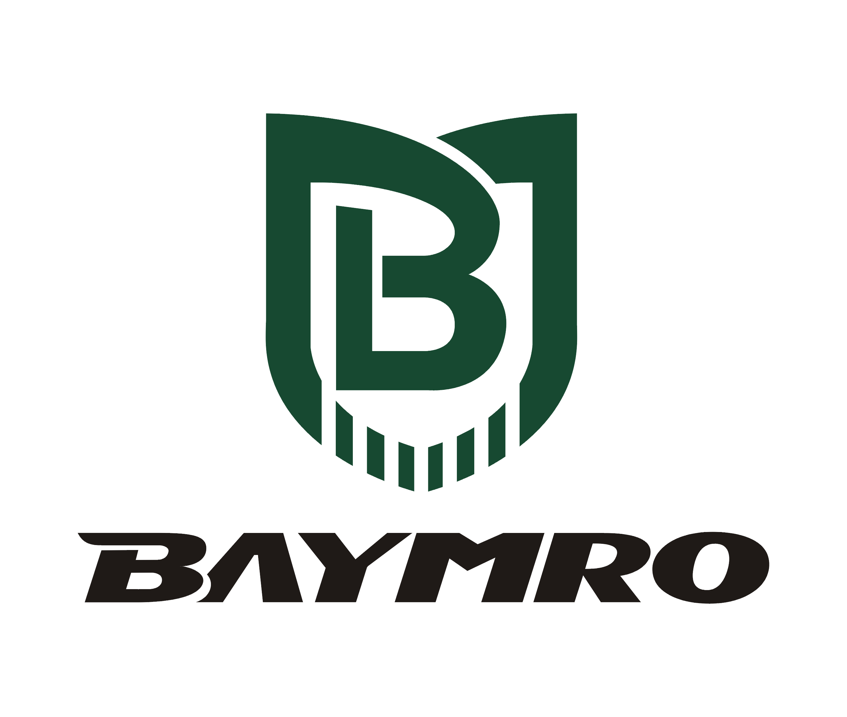 Baymro Safety China Co., Ltd.