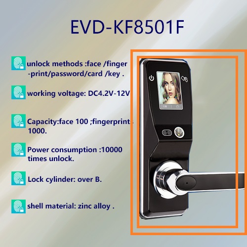 Face Recognition Lock