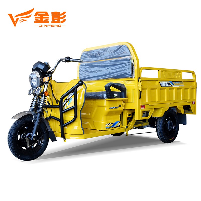 Powerful climbing hill Electric cargo Tricycle with 1000W Motor Model