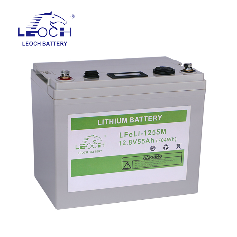 Leoch ﮵Lithium Battery LFeLi-1255M