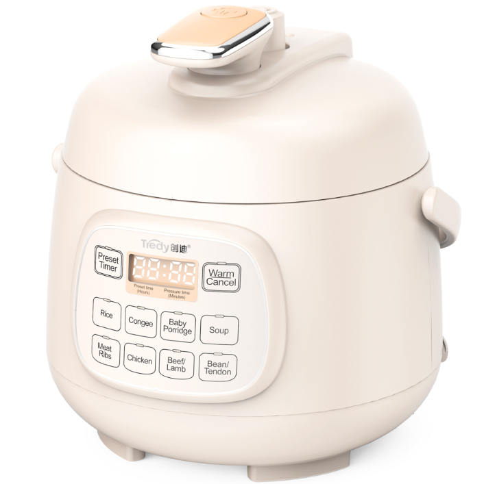 Compact Electric Pressure Cooker