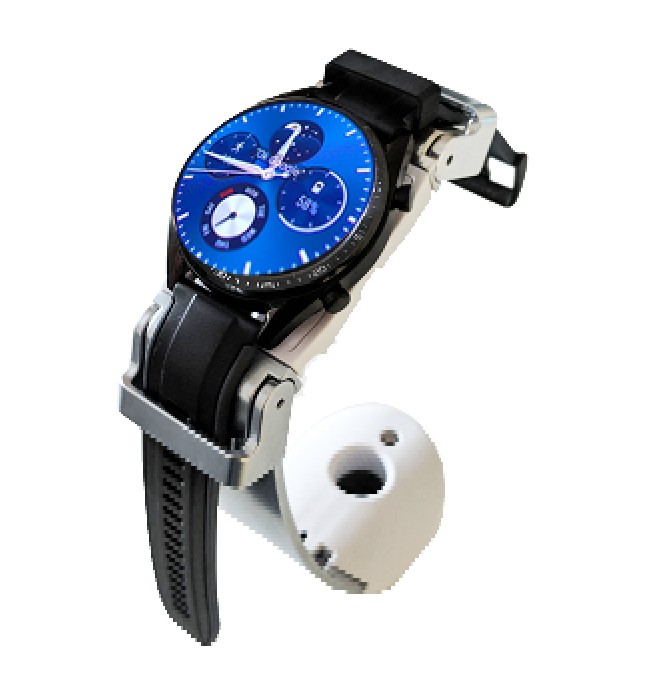 Anti-theft Mount for watch
