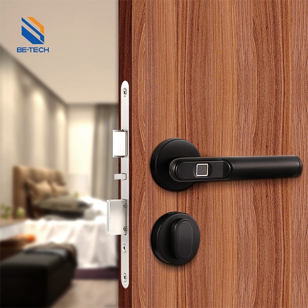 Smart Lock Fingerprint Lock Digital Smart Home Door Lock Matte Black-R665F-00