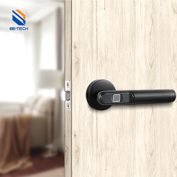 Smart Fingerprint Digital Smart Home Door Lock-Matte Black Electronic Digital Lock R6-19B