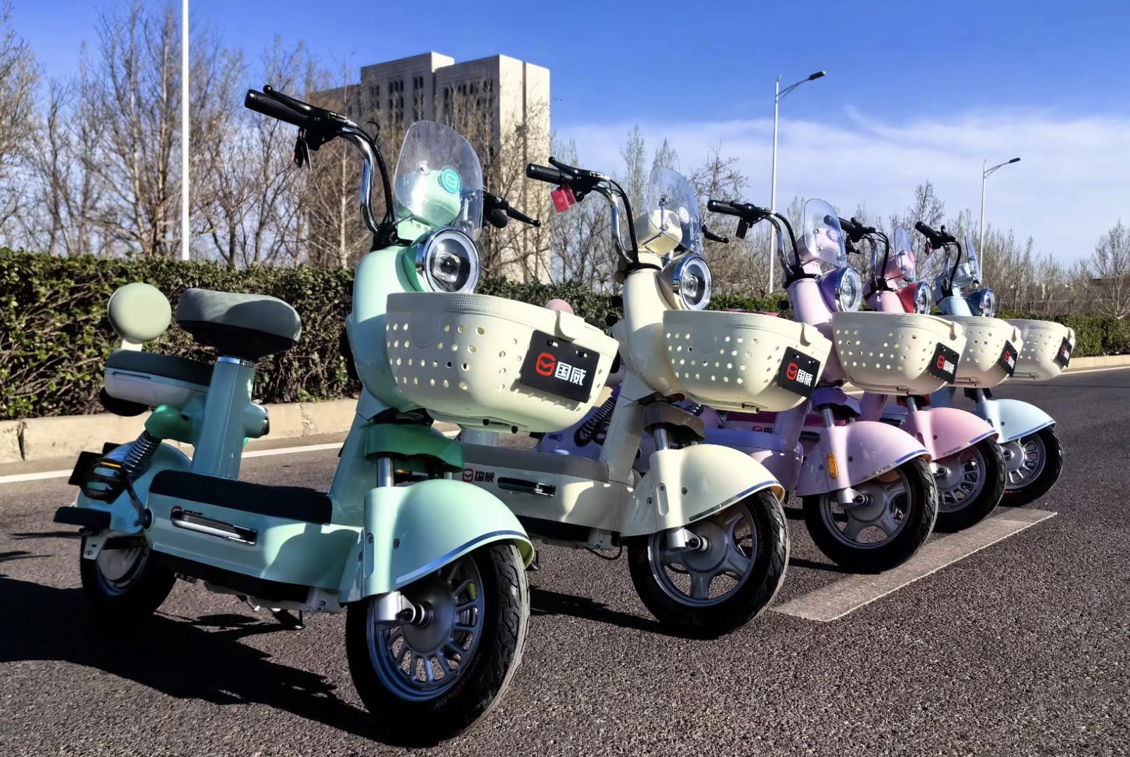 ebike