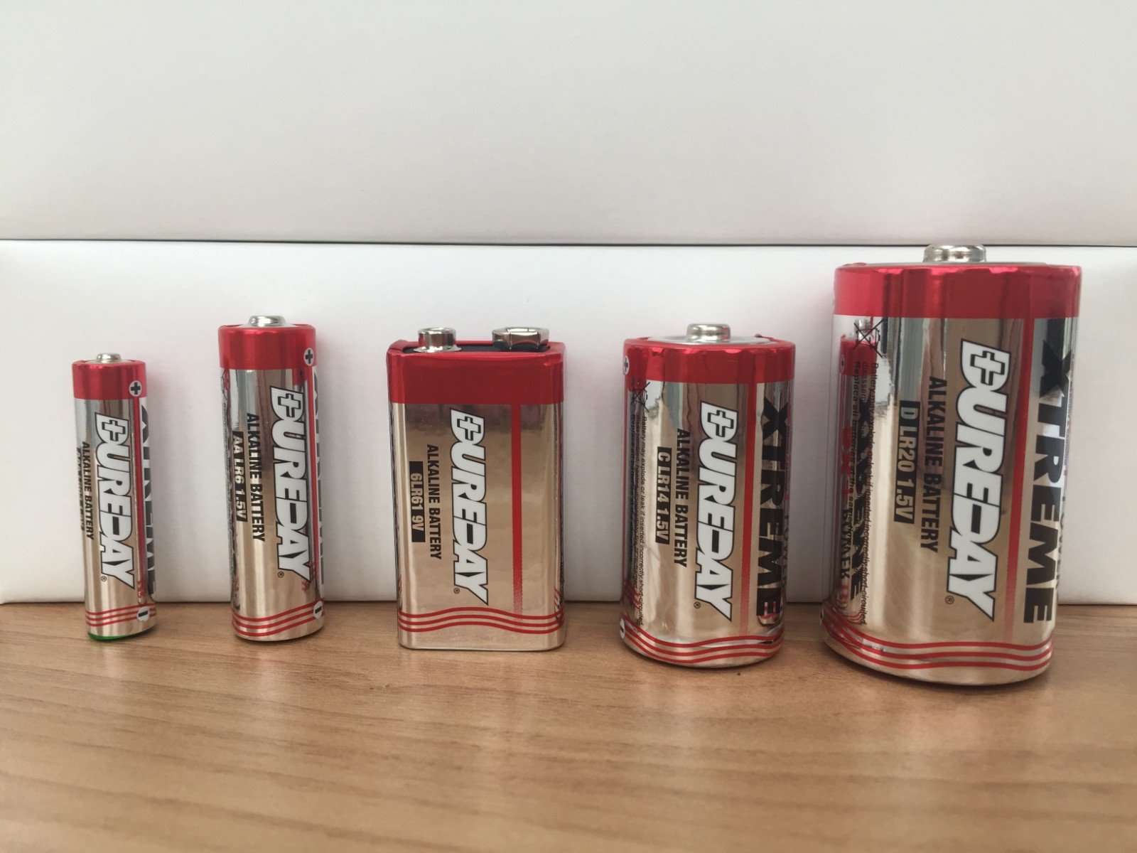 ALKALINE D size battery