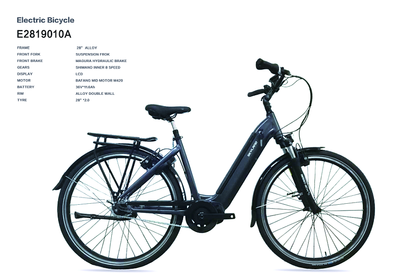 Electric Bicycle with Pedal Assist
