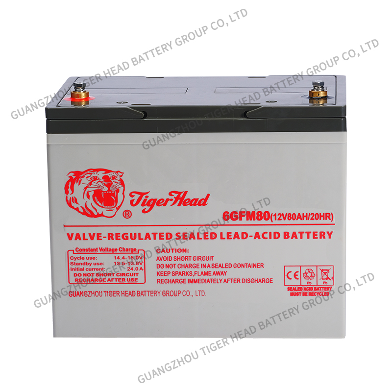 Tiger Head Brand 6GFM80 12V 80AH Valve-Regulated Lead Acid Battery