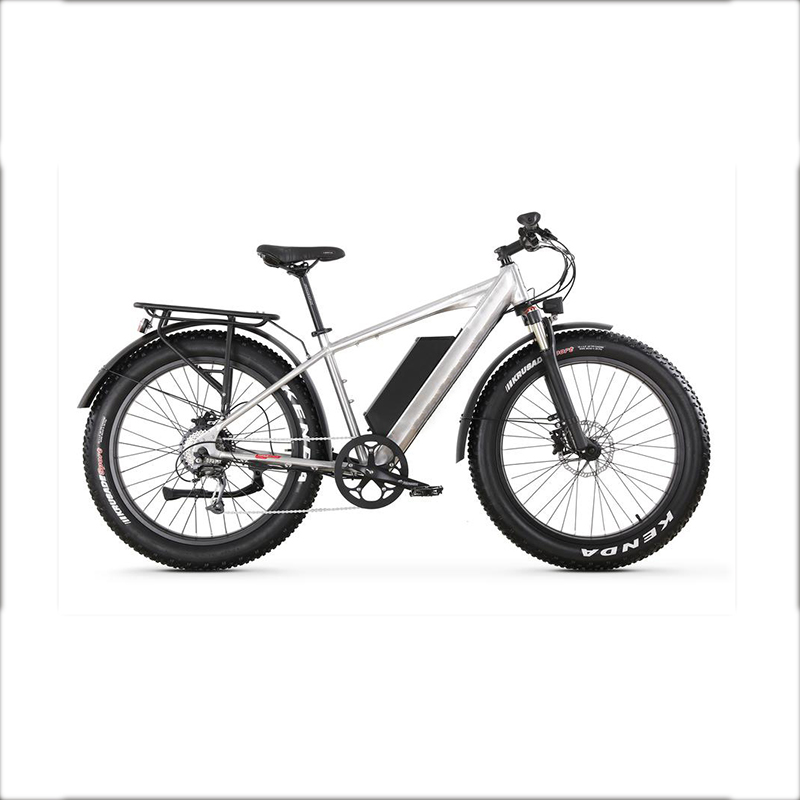 XTION NEW FAT TYRE ELECTRIC BKE  NEW TIRE EBIKE