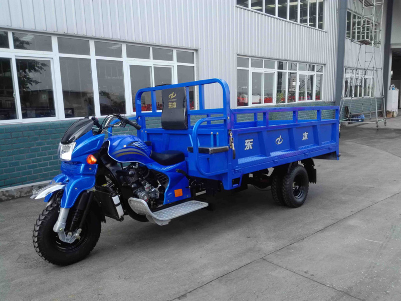 DB250ZH-3A 250CC DOUBLE REAR WHEEL MINI TRUCK CARGO TRICYCLE