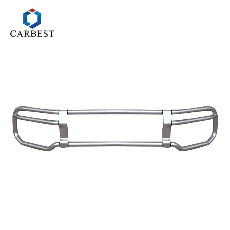 Grille guard for G class 2019