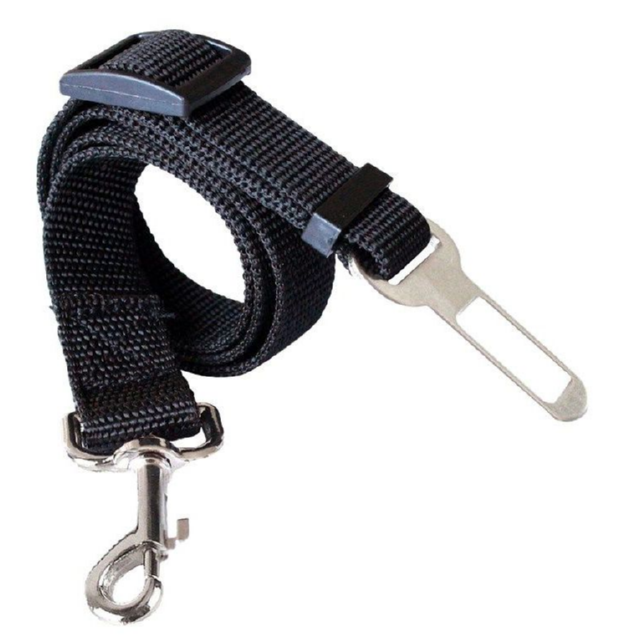 Pet Leash with Metal Studs