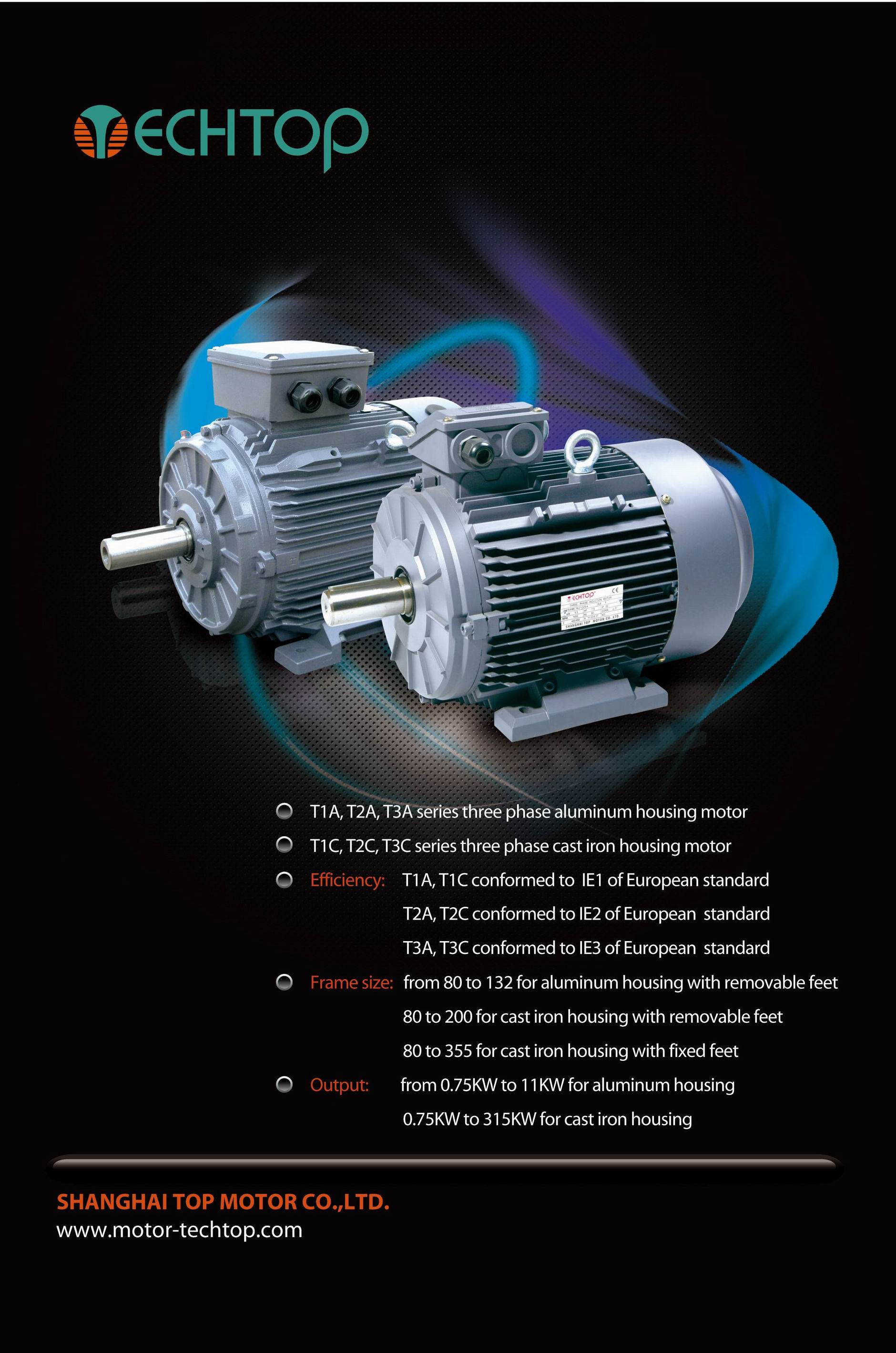 T series induction motors( IE1 IE2 IE3 IE4 efficiency)