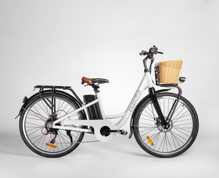 CITY ELECTRIC BICYCLE