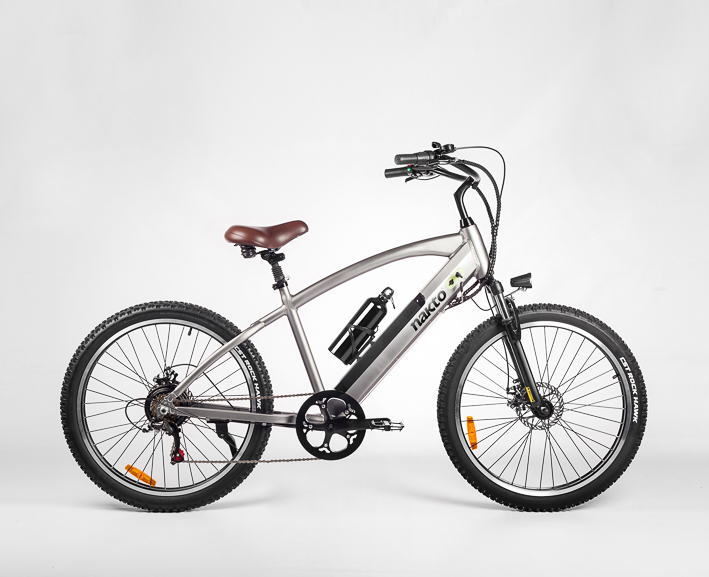 MOUNTAIN ELECTRIC BICYCLE