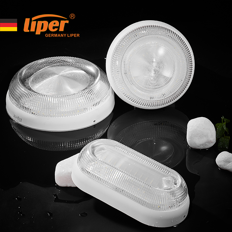 Germany Liper IP65 surface down light